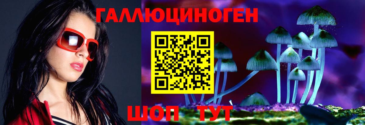 Ессентуки  Галлюциногенные грибы GOLDEN TEACHER  Вход с VPN  закладки  Псилоцибиновые грибы Cubensis 