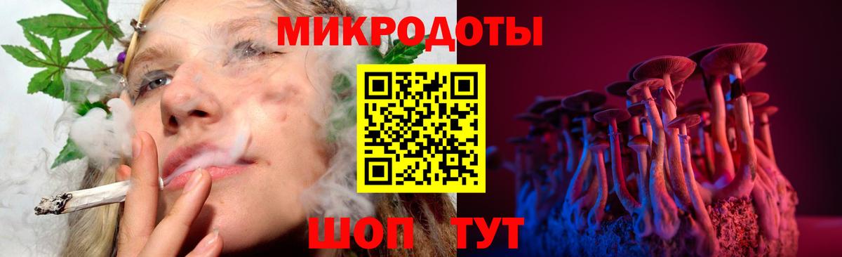 Псилоцибиновые грибы мицелий Ессентуки