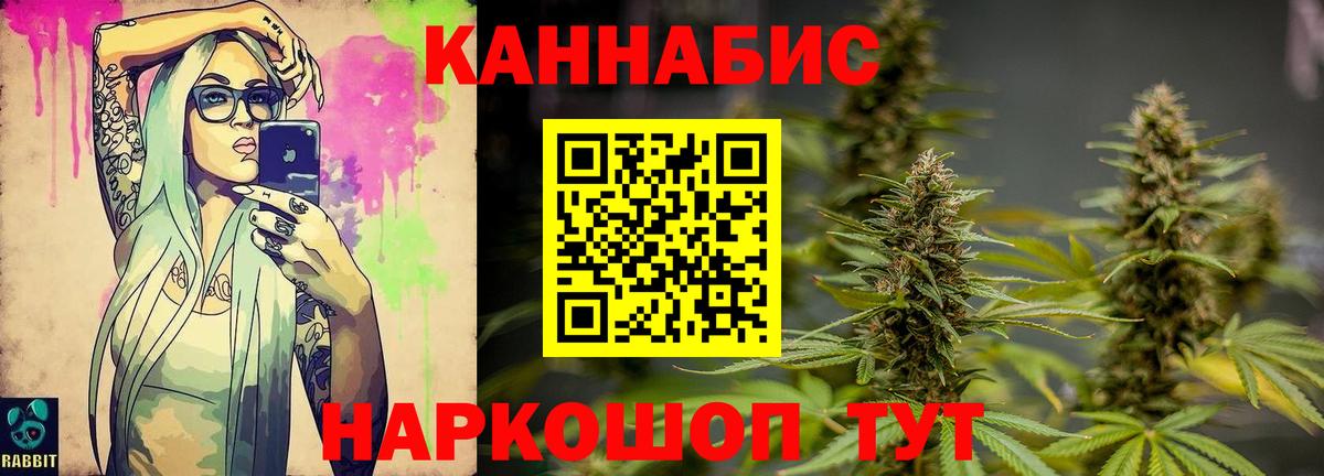 Шишки марихуана сатива Ессентуки